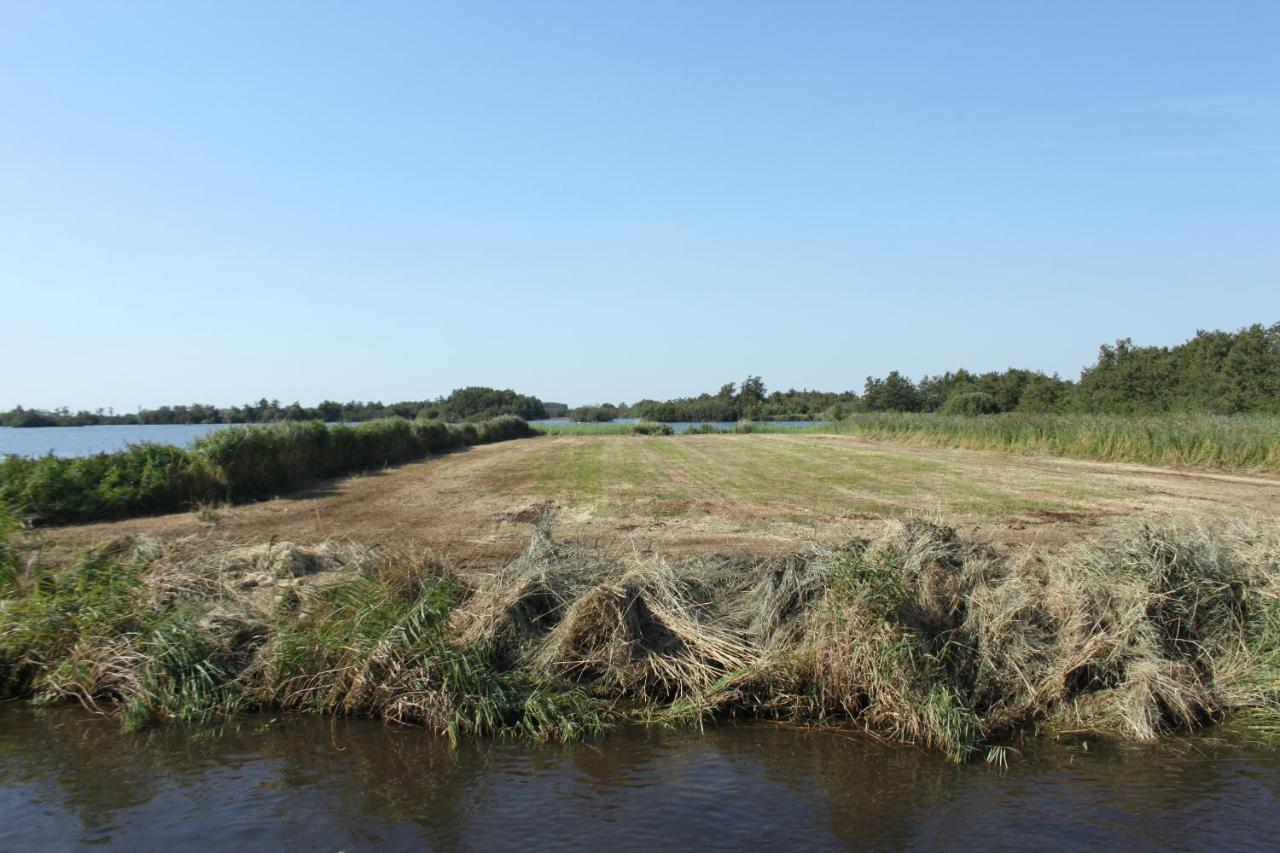 Gastenverblijf Villa Buitenplaats Wergea Contactloos Inchecken Naarderburen Extérieur photo